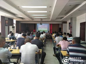 臨滄市甘蔗技術(shù)推廣站深入鳳慶糖業(yè)集團(tuán)開展科技培訓(xùn)與技術(shù)推廣服務(wù)